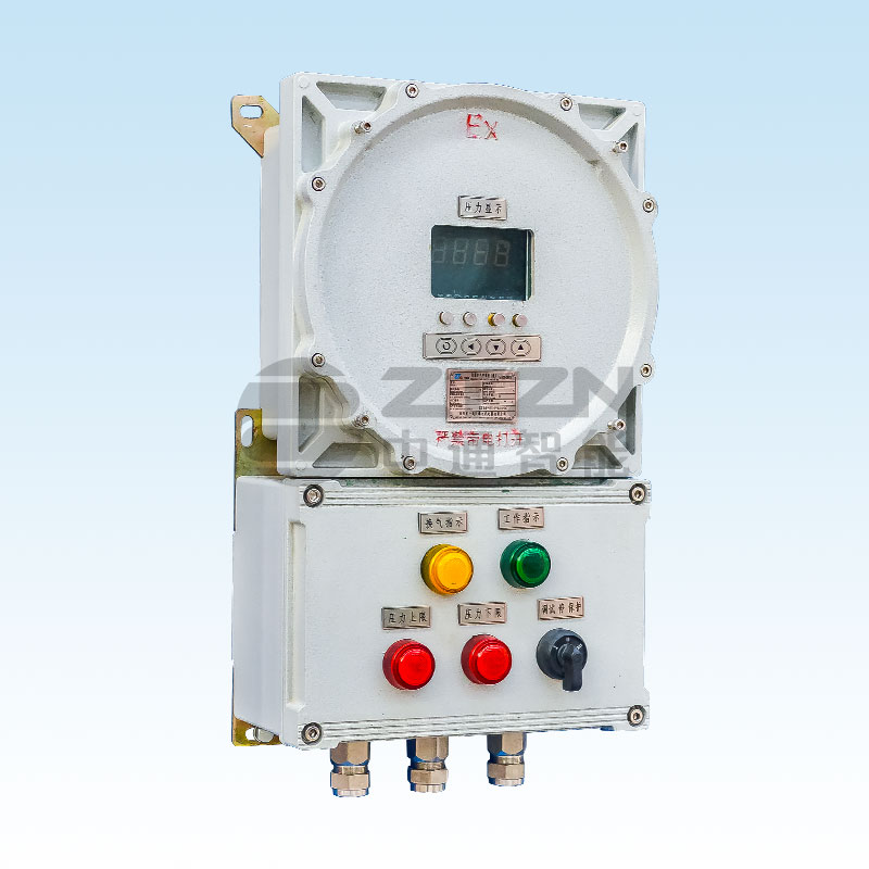 BXK52防爆仪表箱(IIC)